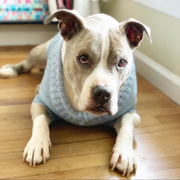 Welcome to my closet! - Picture 10 of 12